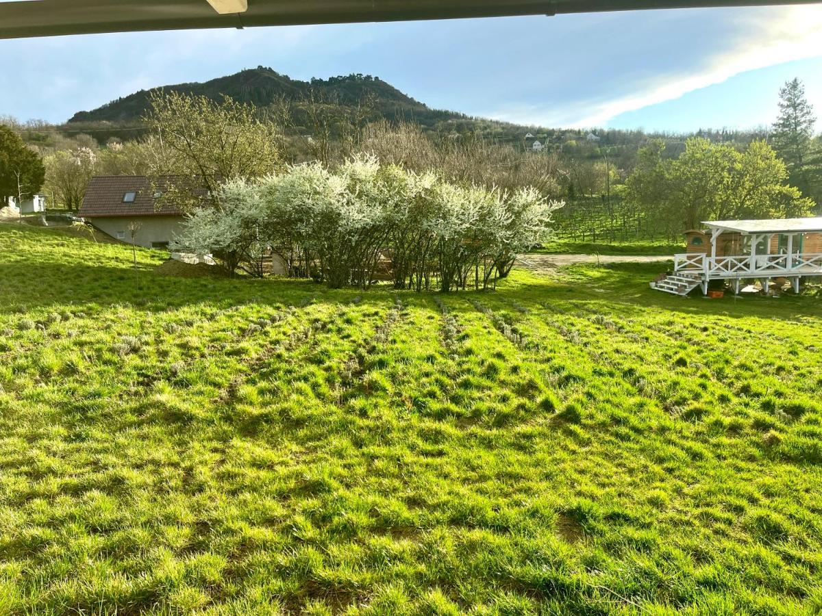 Bohemian Eco Lodge Kisapati المظهر الخارجي الصورة