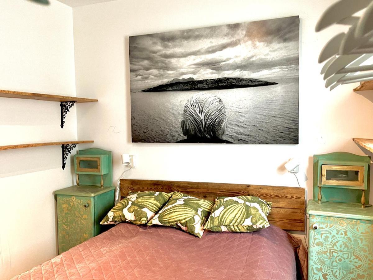 Bohemian Eco Lodge Kisapati المظهر الخارجي الصورة